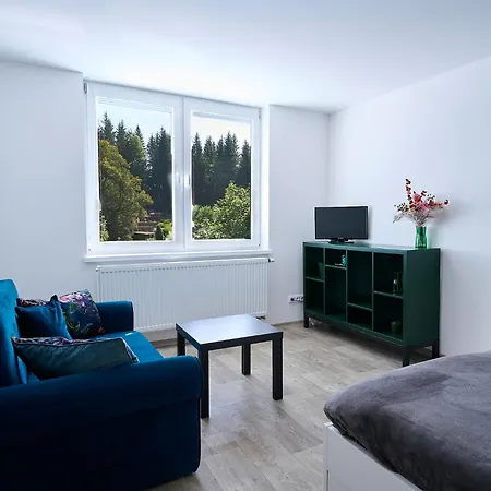 582 By Interhome Apartment Harrachov