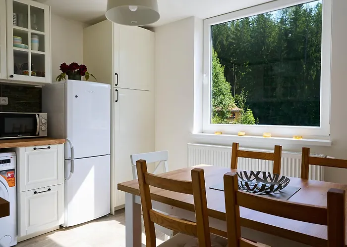 582 By Interhome * Harrachov